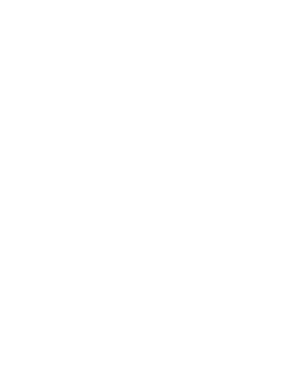 The Island University