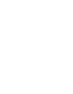 University of Teaxas at Dallas RUF International