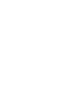 Clemson University RUF International