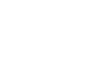 University of South Carolina RUF International